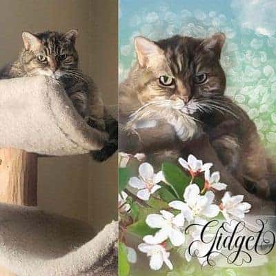Two cats, one on a beige cat tree and one in a floral background, with the name Gidget.