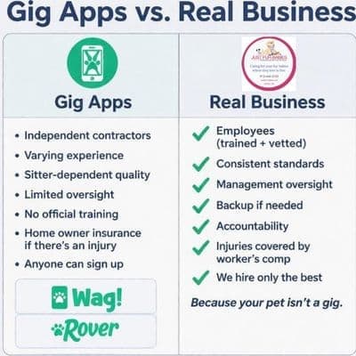 Comparison of gig apps and professional pet care services for pet owners.