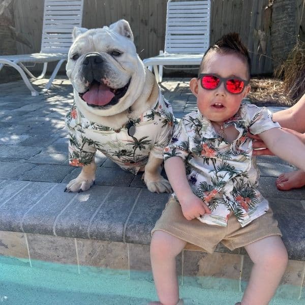 Bulldog and young boy in matching Hawaiian shirts by poolside.